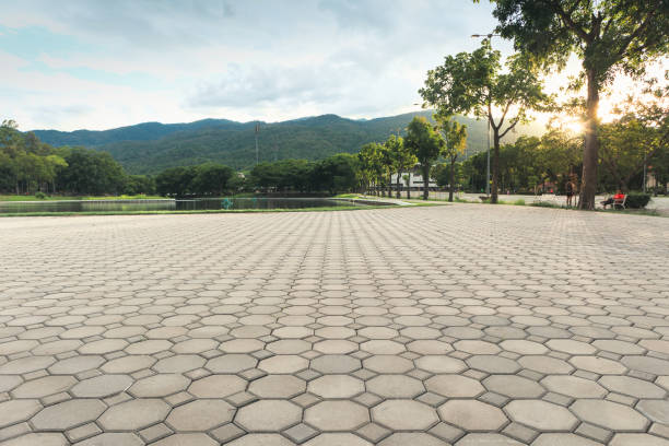 Best Brick Driveway Pavers  in Claxton, GA